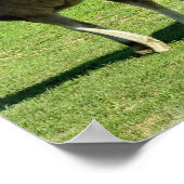 Mare and Foal Poster Print (Ecke)