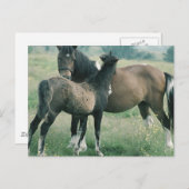 Mare and Foal Postkarte (Vorne/Hinten)