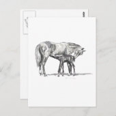 Mare and Foal Postkarte (Vorne/Hinten)