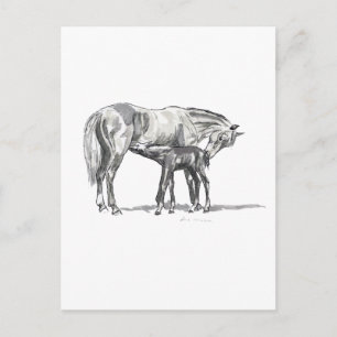Mare and Foal Postkarte