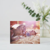 Mare and Foal Postkarte (Stehend Vorderseite)