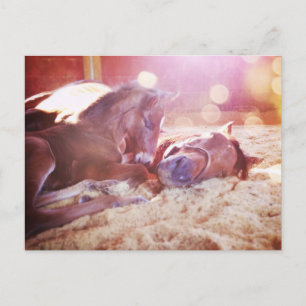 Mare and Foal Postkarte