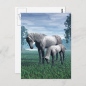 Mare and Foal Postkarte (Vorne/Hinten)