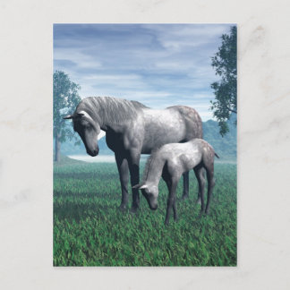Mare and Foal Postkarte