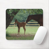 Mare and Foal Under Tree Mousepad (Mit Mouse)
