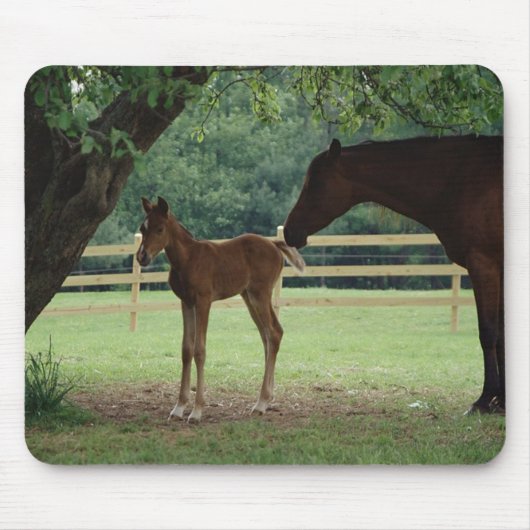 Mare and Foal Under Tree Mousepad (Vorne)