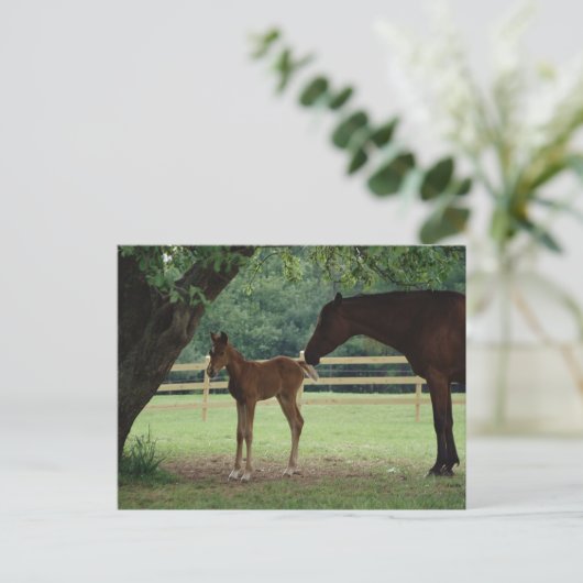 Mare and Foal Under Tree Postkarte (Stehend Vorderseite)