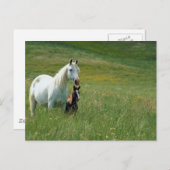 Mare and Foor in Groß Postkarte (Vorne/Hinten)