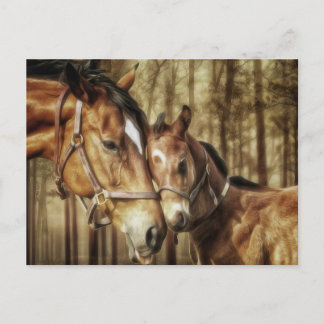Mare and Fox - Pferdefreunde Kunst, Dichtung und M Postkarte