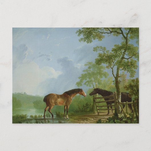 Mare and Hallion in einer Landschaft Postkarte (Vorderseite)