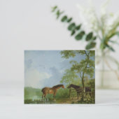 Mare and Hallion in einer Landschaft Postkarte (Stehend Vorderseite)
