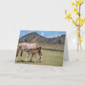 Mare & Colt am Vulkankrater von Rano Raraku Karte (Gelbe Blume)