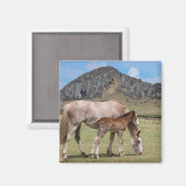Mare & Colt am Vulkankrater von Rano Raraku Magnet (Vorderseite/Rückseite)
