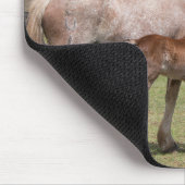 Mare & Colt am Vulkankrater von Rano Raraku Mousepad (Ecke)