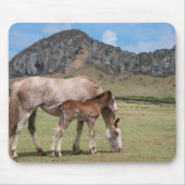 Mare & Colt am Vulkankrater von Rano Raraku Mousepad (Vorne)