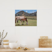 Mare & Colt am Vulkankrater von Rano Raraku Poster (Küche)
