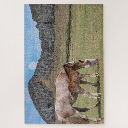 Mare & Colt am Vulkankrater von Rano Raraku Puzzle (Vertikal)