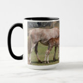 Mare & Colt am Vulkankrater von Rano Raraku Tasse (Links)