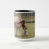 Mare & Colt am Vulkankrater von Rano Raraku Tasse (Zentrum)