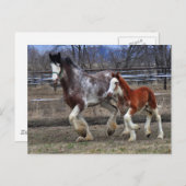 Mare & Colt laufen Postkarte (Vorne/Hinten)