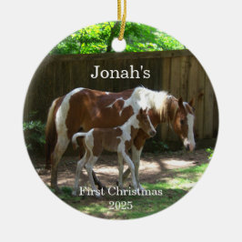 Mare & Foal Baby's First Christmas Ornament