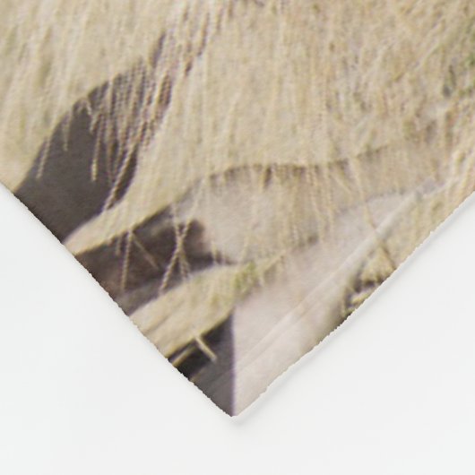 Mare mit Colt Fleecedecke (Ecke)