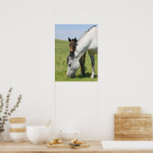 Mare und Colt Poster (Küche)