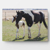 Mare und Filly Walking Fotoplatte (Vorderseite)