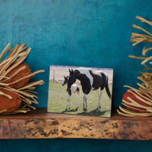 Mare und Filly Walking Fotoplatte
