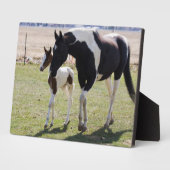 Mare und Filly Walking Fotoplatte (Seite)