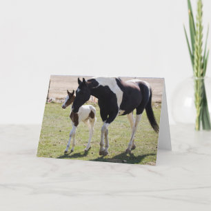 Mare und Filly Walking Karte