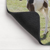 Mare und Filly Walking Mousepad (Ecke)