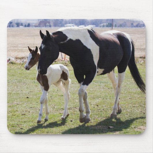 Mare und Filly Walking Mousepad (Vorne)