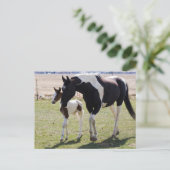 Mare und Filly Walking Postkarte (Stehend Vorderseite)