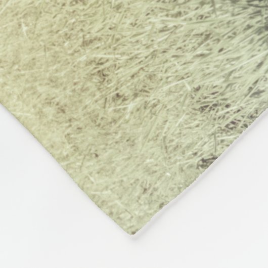 Mare und Fossile Pferde Kleinleder Fleecedecke (Ecke)