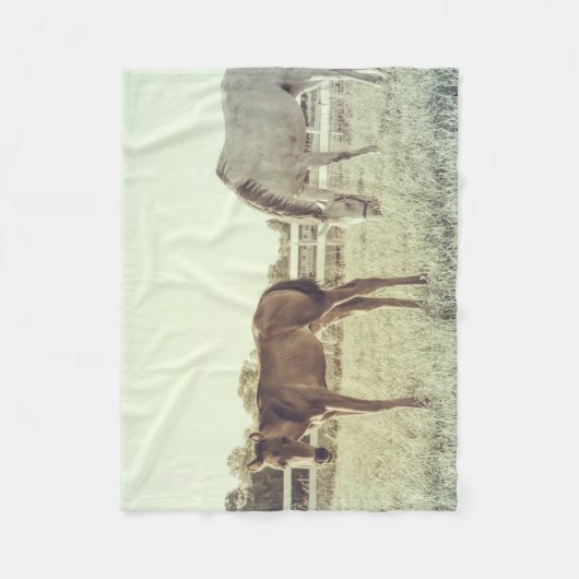 Mare und Fossile Pferde Kleinleder Fleecedecke (Vorderseite)