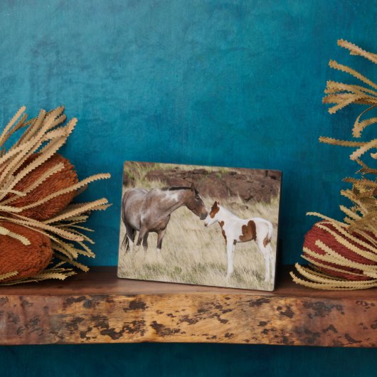 Mare with Colt Fotoplatte (Seite)