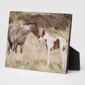 Mare with Colt Fotoplatte (Seite)