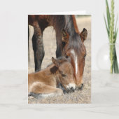 Mare with Colt Karte (Vorderseite)