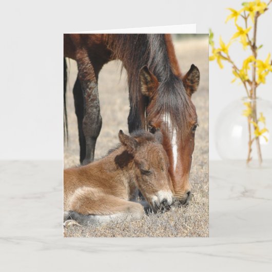 Mare with Colt Karte (Gelbe Blume)