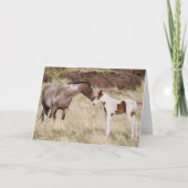 Mare with Colt Karte (Vorderseite)