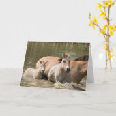 Mare with Foal Crossing a River Karte (Gelbe Blume)