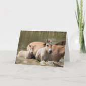 Mare with Foal Crossing a River Karte (Vorderseite)
