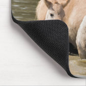Mare with Foal Crossing a River Mousepad (Ecke)