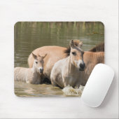 Mare with Foal Crossing a River Mousepad (Mit Mouse)