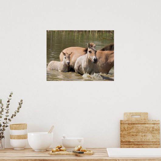 Mare with Foal Crossing a River Poster (Küche)