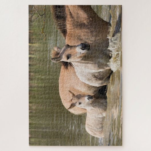 Mare with Foal Crossing a River Puzzle (Vertikal)