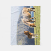 Mare with Foal, Shetland Islands, Schottland Fleecedecke (Vorderseite)