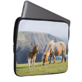 Mare with Foal, Shetland Islands, Schottland Laptopschutzhülle (Vorne Rechts)
