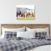 Mare with Foal, Shetland Islands, Schottland Leinwanddruck (Insitu (Schlafzimmer))